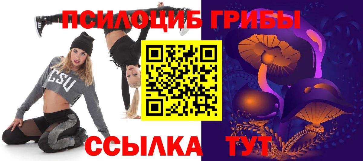 Галлюциногенные грибы Psilocybine cubensis  Вход с VPN  Биробиджан 